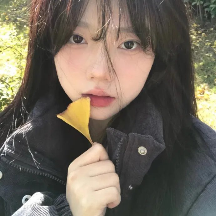 动画动漫