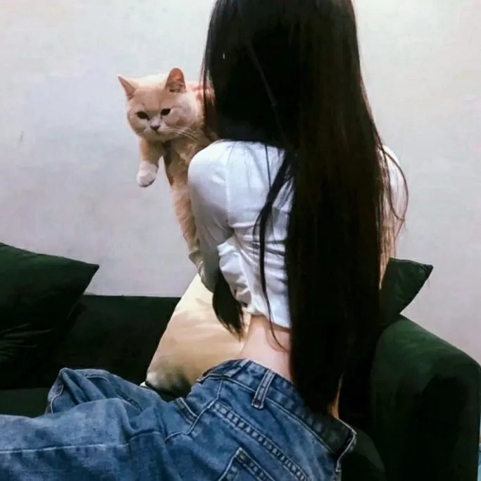 蛊惑狗寻宝